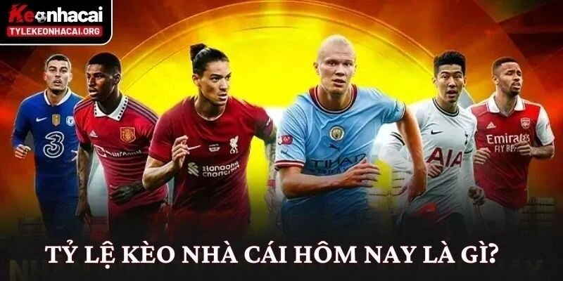 Tỷ lệ kèo là gì ?